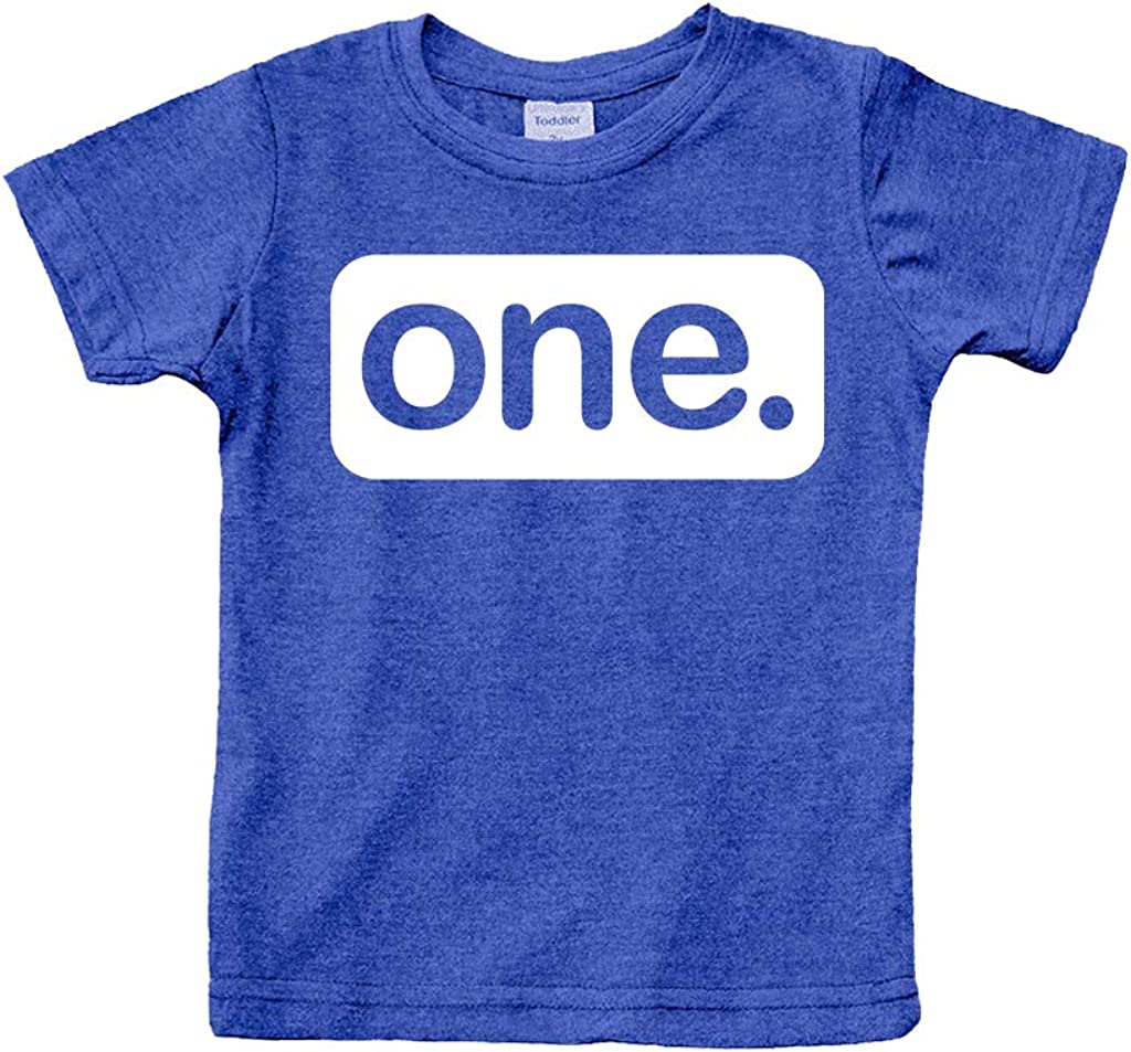 First Birthday Outfit boy 1st Birthday boy Gifts one Year Old Shirt Baby Boys