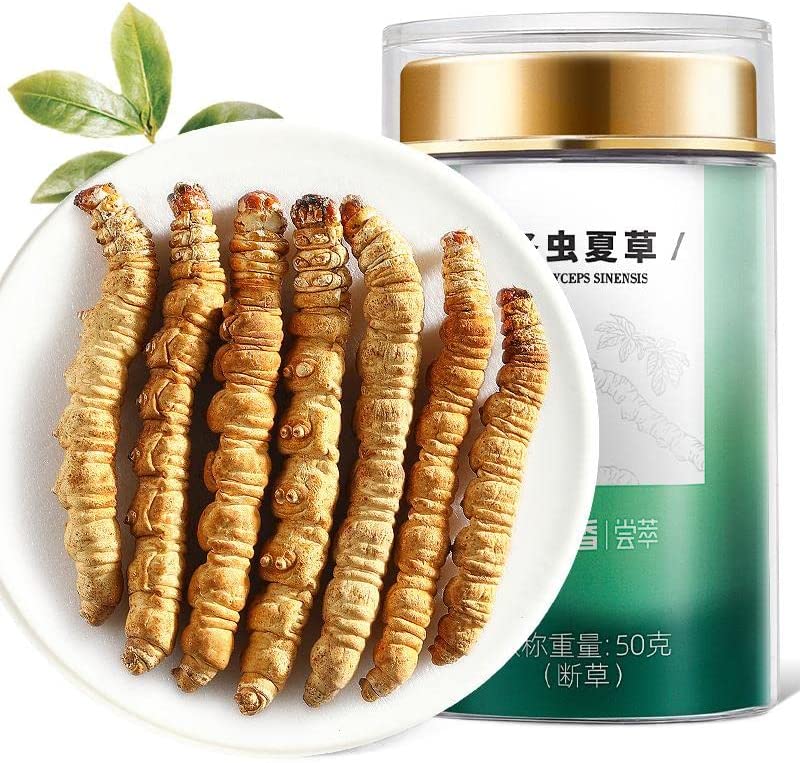 冬虫夏草 Cordyceps sinensis 50g瓶装断草头期装那曲冬虫夏草 Cordyceps sinensis 虫草冬虫礼品